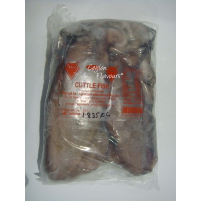 TA Frozen Cuttle Fish